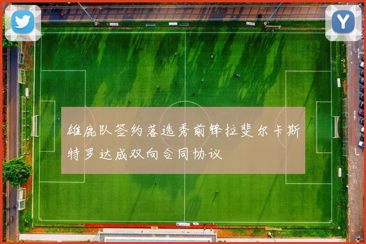 雄鹿队签约落选秀前锋拉斐尔卡斯特罗达成双向合同协议